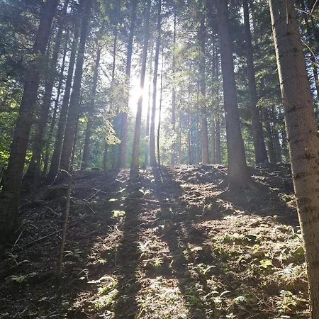 Watra Uslugi Agroturystyki
